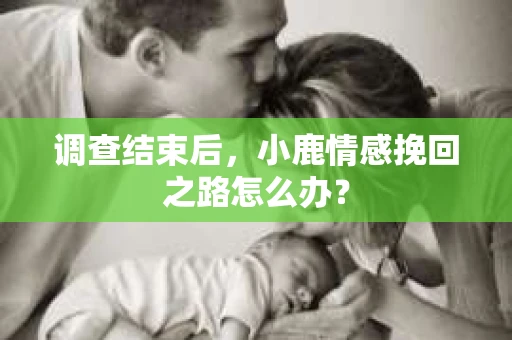 调查结束后，小鹿情感挽回之路怎么办？