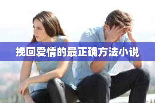 挽回爱情的最正确方法小说