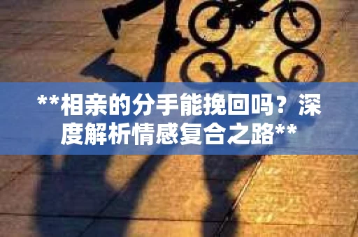 **相亲的分手能挽回吗？深度解析情感复合之路**