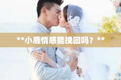 **小鹿情感能挽回吗？**