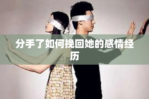 分手了如何挽回她的感情经历