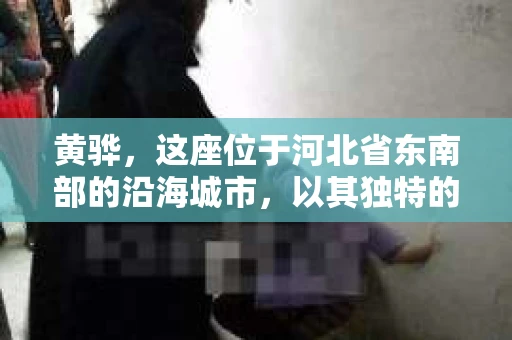 黄骅，这座位于河北省东南部的沿海城市，以其独特的地理位置和丰富的历史文化而闻名。然而，在这座城市中，还有一群人，他们以另一种方式默默守护着社会的公平与正义——私家侦探。今天，我们就来聊聊黄骅的私家侦探，看看他们是如何在这个城市中发挥作用的。