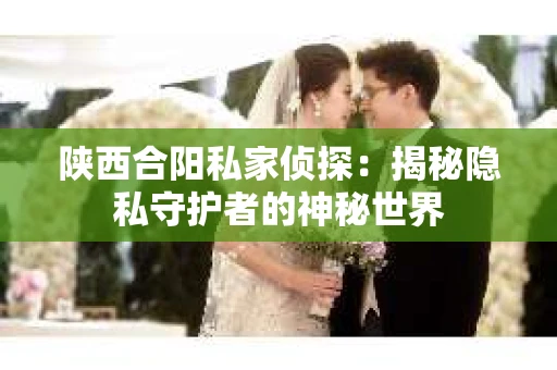 陕西合阳私家侦探：揭秘隐私守护者的神秘世界