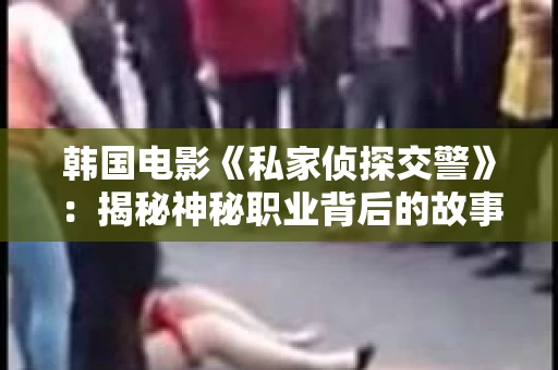 韩国电影《私家侦探交警》：揭秘神秘职业背后的故事