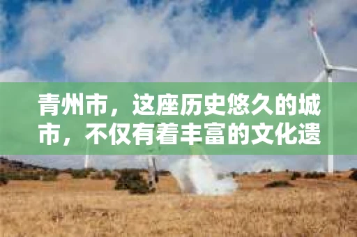 青州市，这座历史悠久的城市，不仅有着丰富的文化遗产，也有着现代生活的便捷。那么，问题来了——青州市有私家侦探公司吗？这个问题，对于需要侦探服务的人来说，无疑至关重要。接下来，我就来为大家揭开这个谜底。
