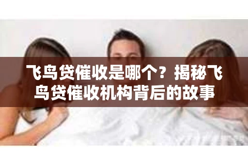 飞鸟贷催收是哪个？揭秘飞鸟贷催收机构背后的故事
