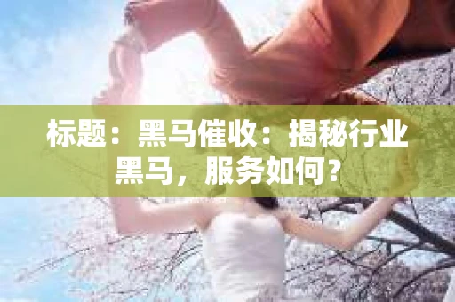 标题：黑马催收：揭秘行业黑马，服务如何？