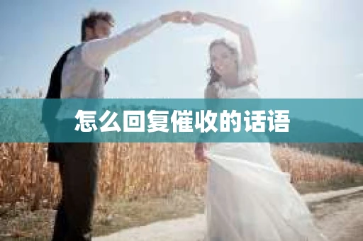 怎么回复催收的话语