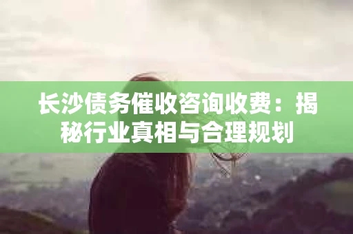 长沙债务催收咨询收费：揭秘行业真相与合理规划