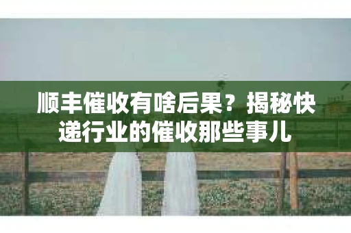顺丰催收有啥后果？揭秘快递行业的催收那些事儿