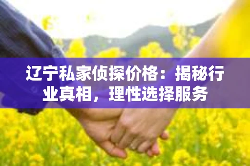 辽宁私家侦探价格：揭秘行业真相，理性选择服务