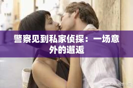 警察见到私家侦探：一场意外的邂逅