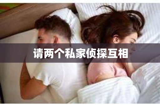 请两个私家侦探互相
