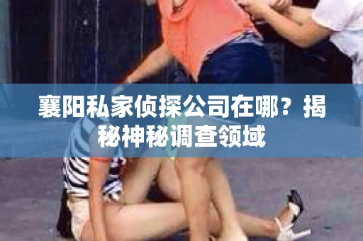 襄阳私家侦探公司在哪？揭秘神秘调查领域