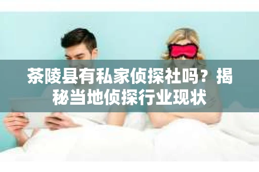 茶陵县有私家侦探社吗？揭秘当地侦探行业现状