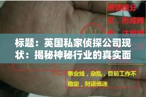标题：英国私家侦探公司现状：揭秘神秘行业的真实面貌