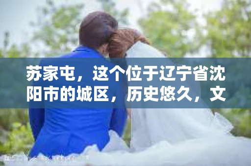 苏家屯，这个位于辽宁省沈阳市的城区，历史悠久，文化底蕴深厚。近年来，随着社会的发展，人们对于私家侦探的需求也逐渐增加。那么，苏家屯有私家侦探吗？今天，我们就来聊聊这个话题。