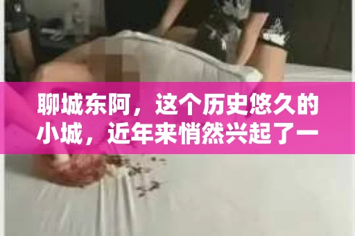 聊城东阿，这个历史悠久的小城，近年来悄然兴起了一股新的服务潮流——私家侦探。今天，我们就来聊聊这个话题，看看在聊城东阿，私家侦探是如何成为人们生活中的一部分的。