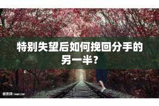 特别失望后如何挽回分手的另一半？