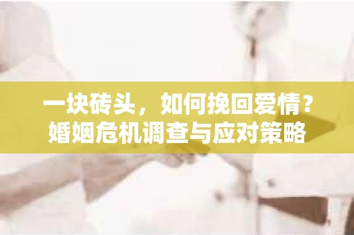 一块砖头，如何挽回爱情？婚姻危机调查与应对策略