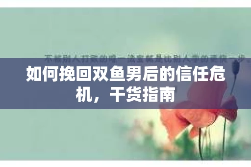 如何挽回双鱼男后的信任危机，干货指南