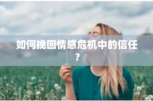 如何挽回情感危机中的信任？