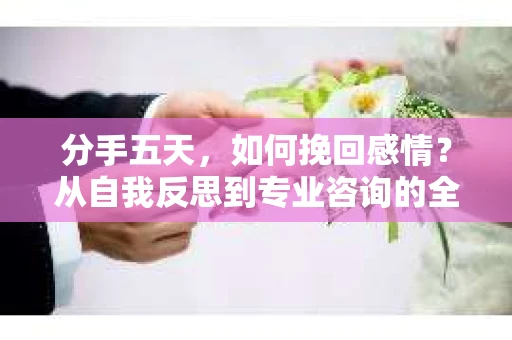 分手五天，如何挽回感情？从自我反思到专业咨询的全面解决方案