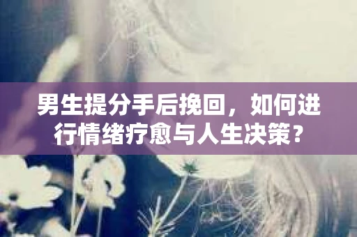 男生提分手后挽回，如何进行情绪疗愈与人生决策？
