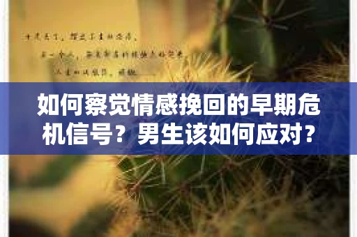 如何察觉情感挽回的早期危机信号？男生该如何应对？