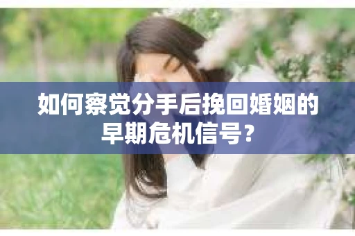 如何察觉分手后挽回婚姻的早期危机信号？